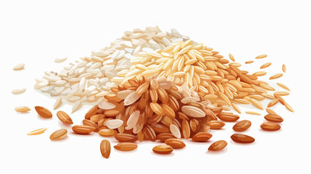 Close-Up View of Brown and Polished Rice Blend Isolated on White Backgroundのイラスト素材