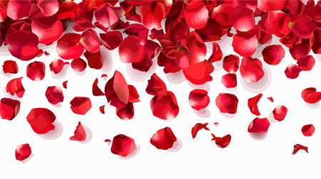 Top View of a Bouquet of Red Rose Petals Scattered on a White Backgroundのイラスト素材