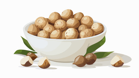 Close-Up Shot of Delicious Macadamia Nuts on a White Tabletopのイラスト素材