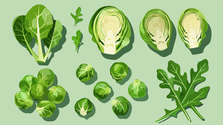 Vibrant Fresh Brussels Sprouts and Arugula Display on Colorful Backdropのイラスト素材