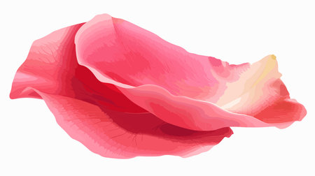 Fresh Cartoon Rose Petal on a Pristine White Backgroundのイラスト素材
