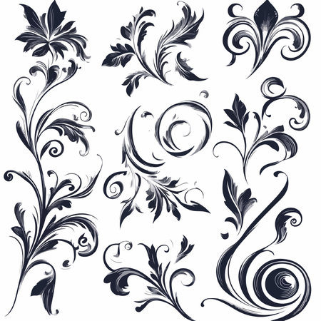 Intricate Set of Floral Calligraphic Elements in Vector Formatのイラスト素材