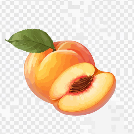 Single Whole Peach Fruit with Green Leaf and Sliced Halves on White Backgroundのイラスト素材