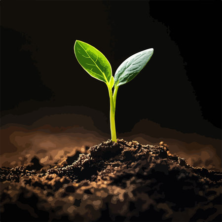 Sprouting Seedling Breaks Through Cracked Earth in Nature's Renewal