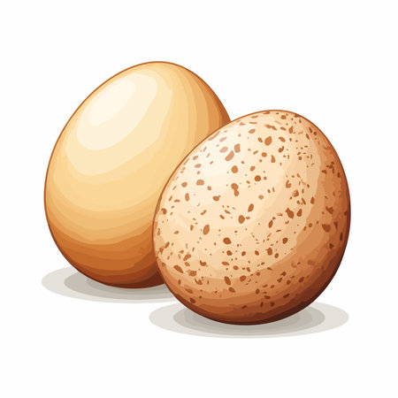 Isolated PNG Element of Two White Eggs on Transparent Backgroundのイラスト素材