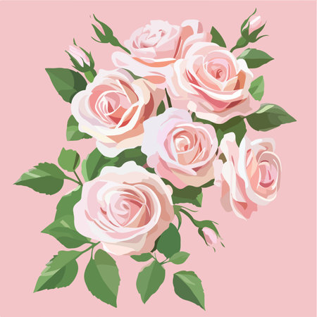 Beautiful pink and white roses on pink background. Vector illustration.のイラスト素材