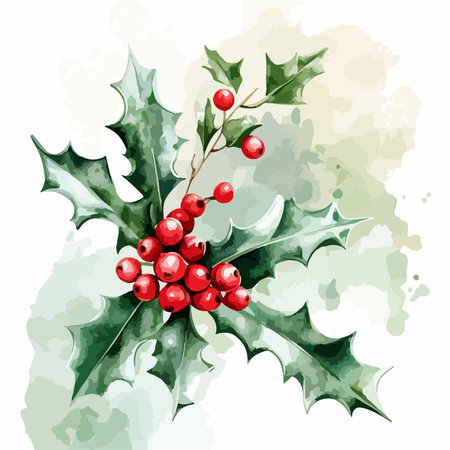 Watercolor Christmas holly branch with berries and leaves. Vector illustration.のイラスト素材
