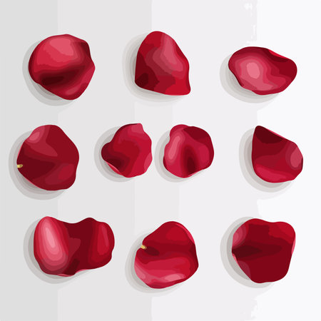 Vector illustration of a set of red rose petals on a white backgroundのイラスト素材