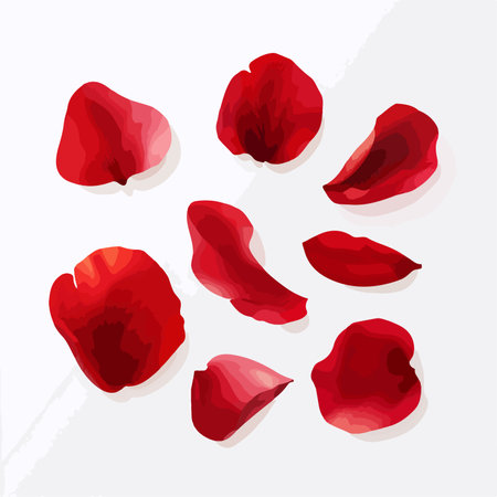 Red rose petals set isolated on white background. Vector illustration.のイラスト素材