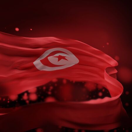 TUNISIA NATIONAL FLAG ARTWORK ,TUNISIAN COLORS (3D RENDER)の写真素材