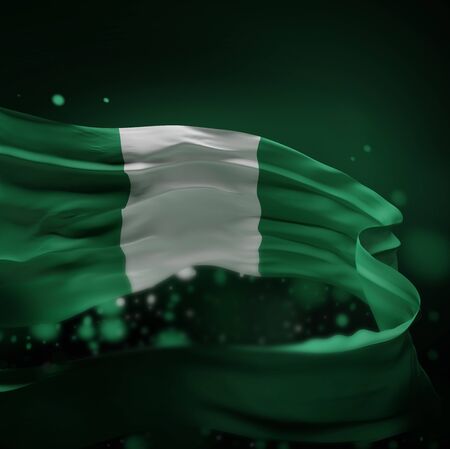 NIGERIA NATIONAL FLAG ARTWORK ,NIGERIAN COLORS (3D RENDER)の写真素材