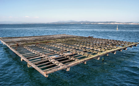 Raft culture of mussels in the Ria of Pontevedra, Galicia, Spain 