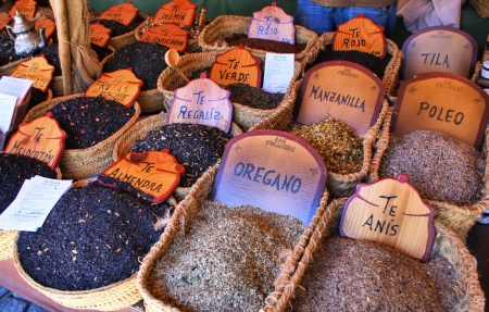 Herbs and teas mixed collectionの写真素材