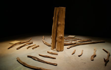 Coa Museum in the archaeological Park of the Coa Valleyのeditorial素材