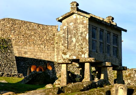 Horse near Lindoso granaries in National Park of Peneda Geres, Portugalの写真素材