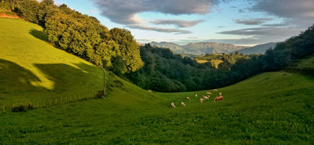 French Way of Santiago in the Pyrenees Atlantiques