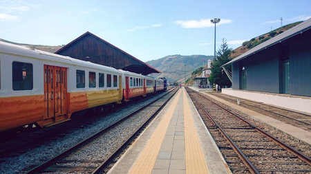 Train On Railway In Douro Valley, Portugal