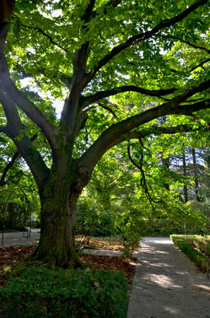 The Serralves Garden in Oporto, Portugalの写真素材