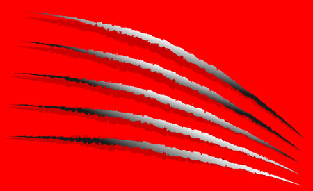 Claw marks, claw scratches, paw marks vector.のイラスト素材