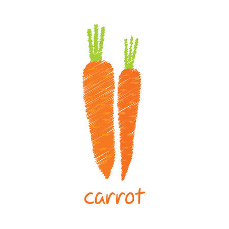 carrot, sketch design vectorのイラスト素材