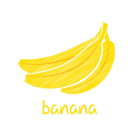 banana fruit, sketch design vectorのイラスト素材