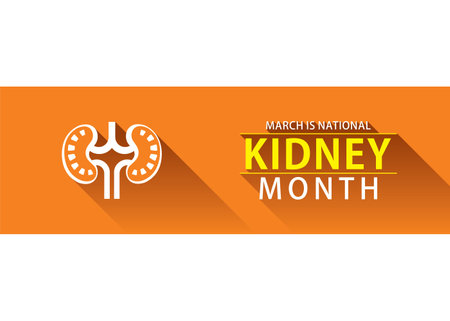 Vector illustration of national kidney month designのイラスト素材