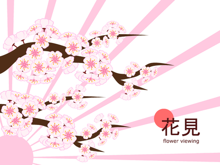 Large cherry blossom branch in flat style white background with sunshine-like pink ray, made to celebrate 2018 Hanami (Japanese flower viewing) tradition.のイラスト素材