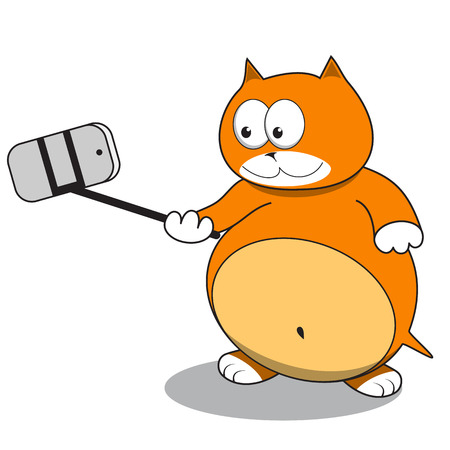 Red cat taking a selfie using selfie stick over white background.のイラスト素材