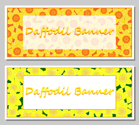 Daffodil banner template.のイラスト素材