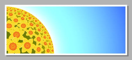 Daffodil flowers background.のイラスト素材