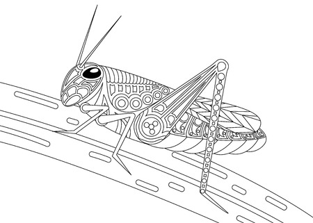 Monochrome grasshopper coloring page black over white.のイラスト素材
