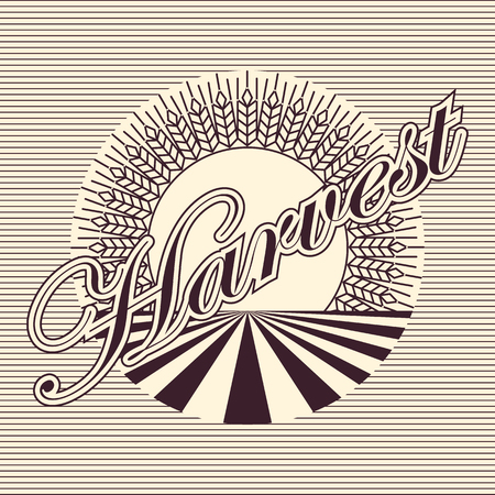 Abstract farming harvest concept poster banner background. Vector illustration.のイラスト素材