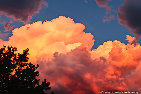 Dramatic sunset sky with luminous clouds bathed in warm hues of orange, pink, and yellow. Silhouetted trees in the foreground add depth to the breathtaking natural display.の素材