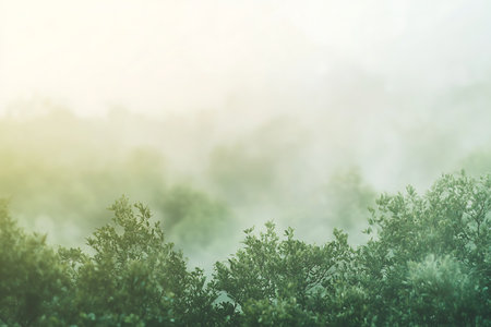 Soft golden sunlight breaks through a misty forest canopy creating a serene and tranquil nature landscape. Lush green foliage hints at the beauty of the outdoors on a peaceful morning.の素材