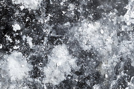 This abstract grayscale image features a dynamic and organic texture. Areas of dark, dense detail contrast with bright, luminous patches, creating visual depth and interest for diverse design applications.の素材