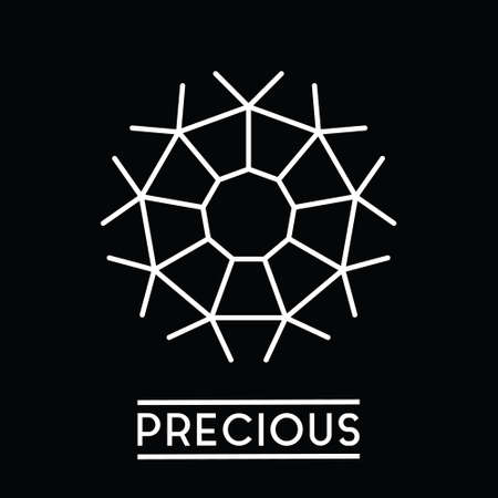 Logo vector Logo vector that illustrated of glaring nonagon diamondのイラスト素材