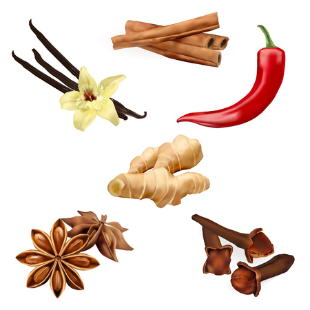 Set of spices isolated on the white background. Vector illustrationのイラスト素材