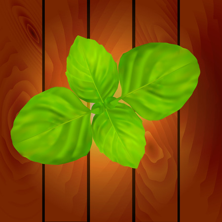 Green basil leaves on the wooden background.Vector illustrationの写真素材