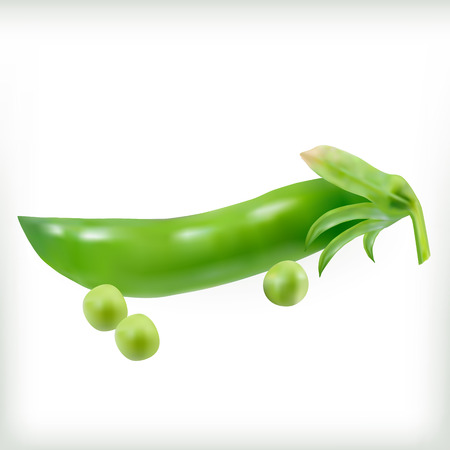 Pea pods on the white background, vector illustrationのイラスト素材