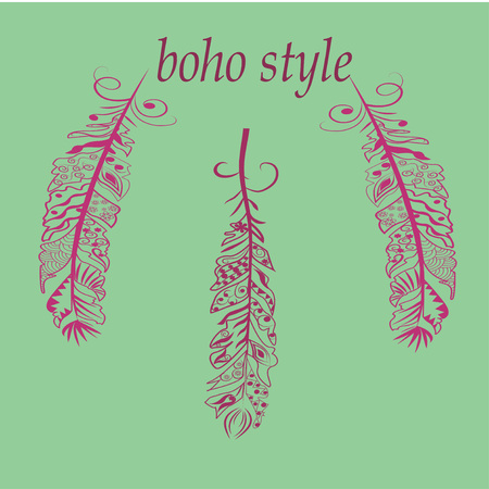 Vector Illustration  with feathers in boho styleのイラスト素材
