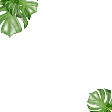 Tropical paper palm leaves frame. Summer tropical leaf.のイラスト素材