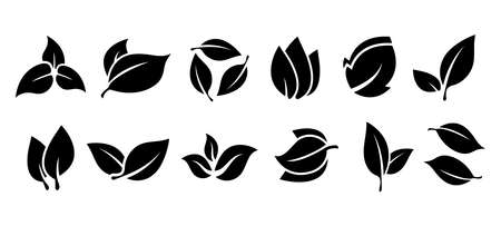Set of black leaves. Vector elements for design.のイラスト素材