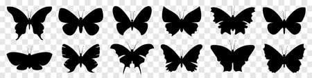 Different butterfly silhouettes isolated on transparent background. Vector elements for decor and designのイラスト素材