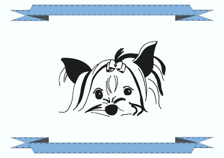 Vector illustration of a puppy. A small dog.のイラスト素材