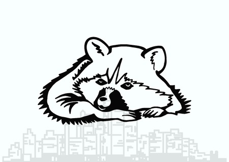 Vector illustration of a raccoon.のイラスト素材