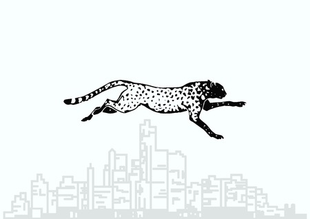 Vector illustration of an evil, wild, aggressive leopard. Prey, cheetah dangerous. Offensive cougar. Panther.のイラスト素材