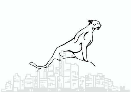 Vector illustration of an evil, wild, aggressive leopard. Prey, cheetah dangerous. Offensive cougar. Panther.のイラスト素材