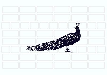 Bird icon. Peacock vector illustration.のイラスト素材