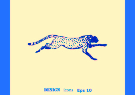 Vector illustration of an evil, wild, aggressive leopard. Prey, cheetah dangerous. Offensive cougar. Panther.のイラスト素材