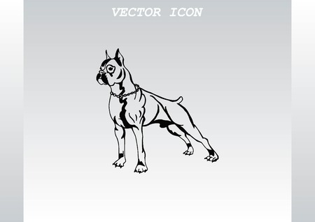 Vector illustration of a dog. Aggressive purebred dog.のイラスト素材